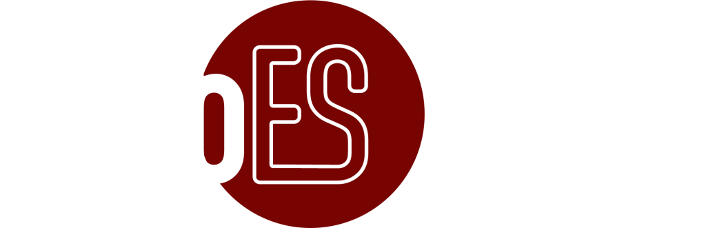 webES-solutions logo